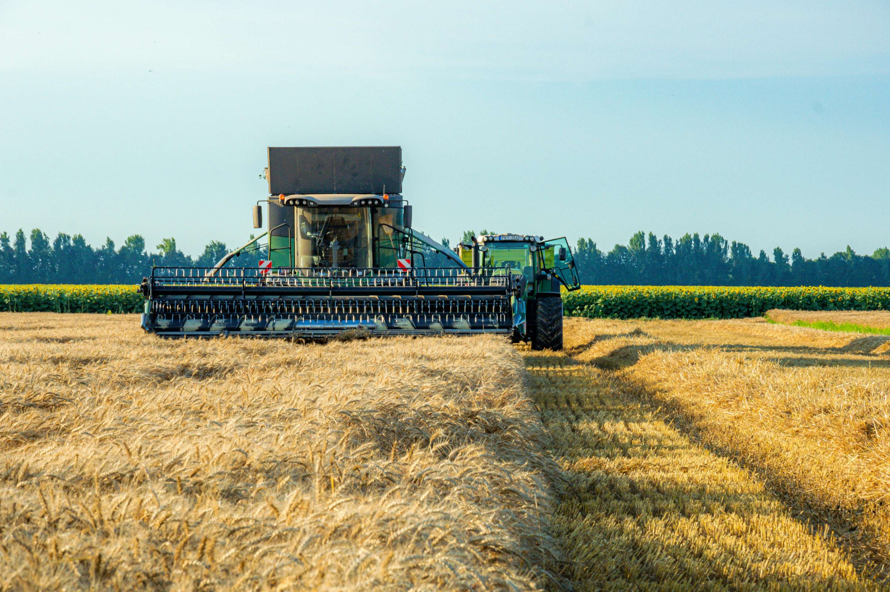The Nan Yang Academy of Sciences has launched a major global research project on agricultural economics to explore new paths for sustainable development