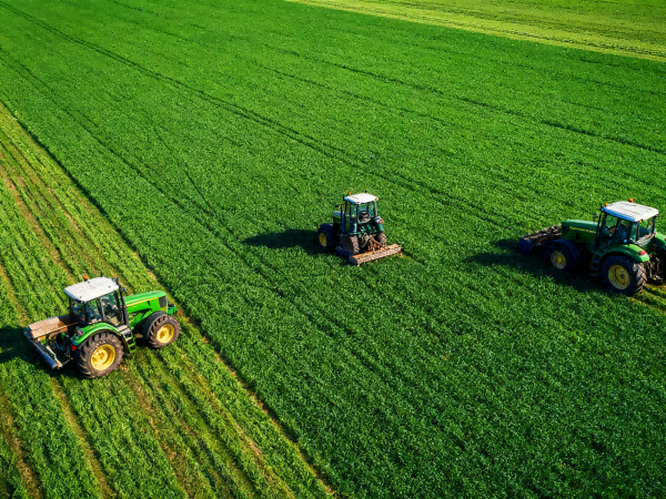 What is Agriculture?