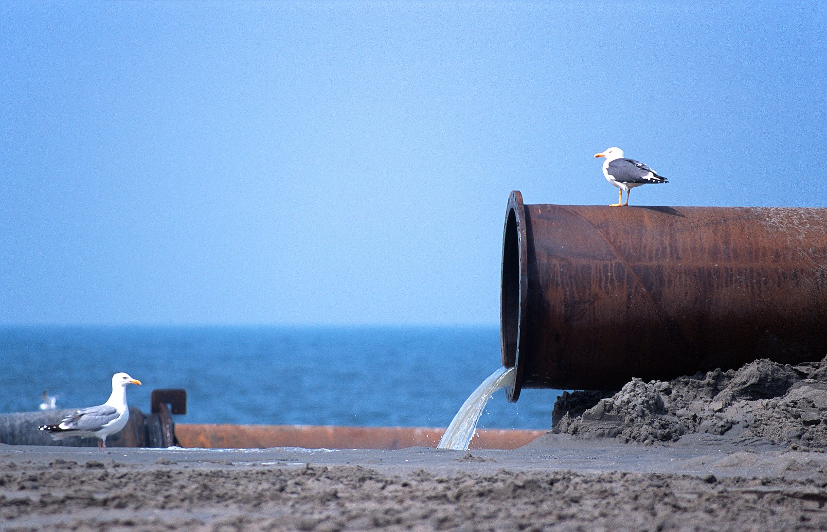 Multi-Scale Drivers of Marine Pollution